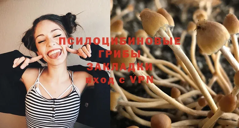 наркота  Киренск  Псилоцибиновые грибы Psilocybine cubensis 